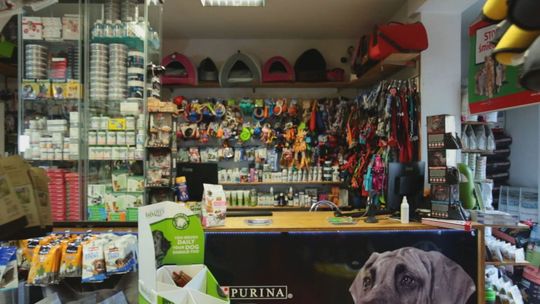 Sprawdź gdzie znajdziesz najwyższej jakości produkty dla zwierząt domowych - Bobik Market zaprasza