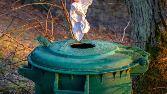 Sprawdź tymczasowy harmonogram odbioru odpadów