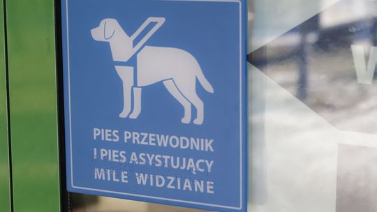 Starostwo przyjazne osobom niepełnosprawnym 