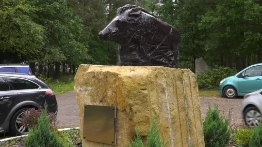 Stefan ma już rok! Za nami kolejny piknik integracyjny na ul. Żeromskiego