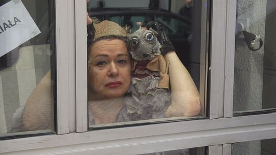 Stęsknieni aktorzy i widzowie mogą spotkać się przez szybę