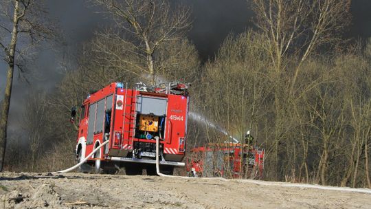 STOP pożarom traw! Jędrzejowscy strażacy mocno apelują