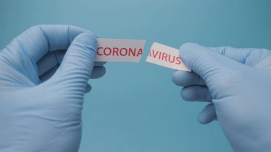 „Stop wirusowi!”