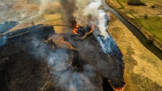 STOP – wypalaniu traw!!! / Fot. S. Rakowski