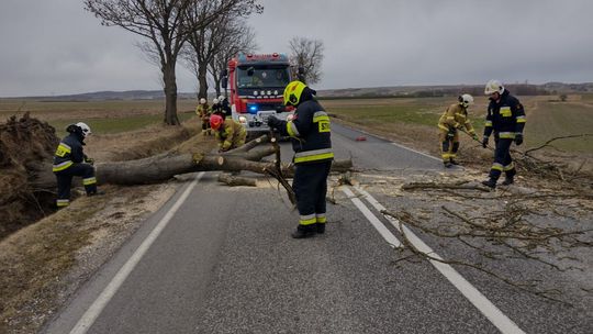 Strażacy mieli pełne ręce roboty 