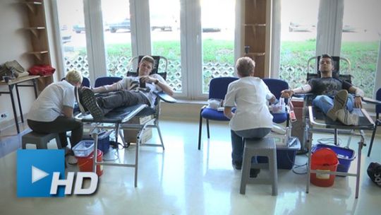 Studenci UJK oddali honorowo krew