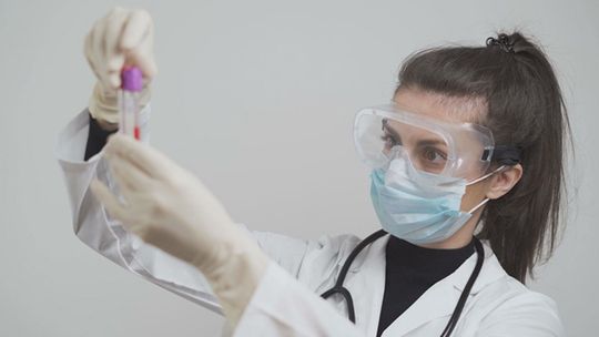 Stypendia medyczne przyznane