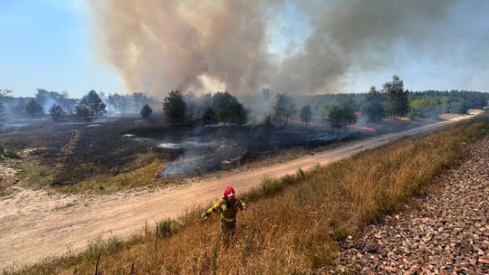 Susza w regionie. Wybuchają pożary traw