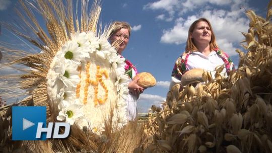 Święto Plonów w gminie Bodzentyn