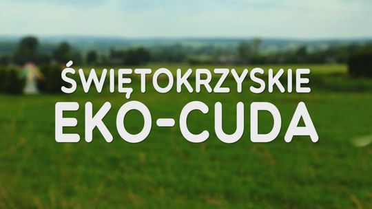 "Świętokrzyskie Eko-Cuda" - Czy słone źródło w Szczerbakowie jest naprawdę słone?