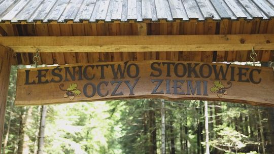 „Świętokrzyskie EkoWędrówki: Spójrz w Oczy Ziemi” (zwiastun)