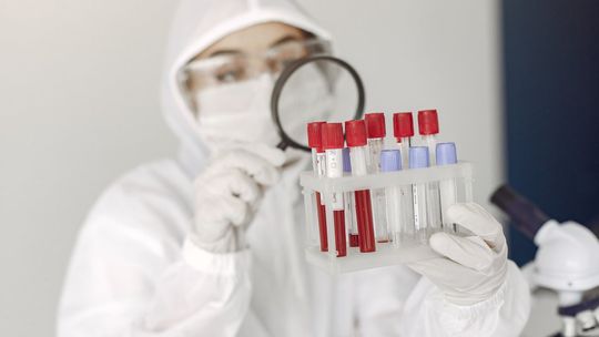 Świętokrzyskie w czołówce pod względem wykonanych testów na koronawirusa