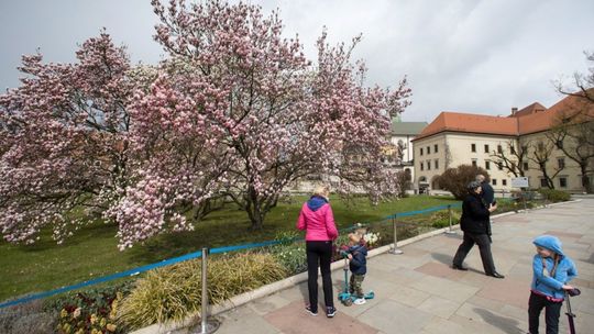 Synoptyk IMGW: chłodna środa z przelotnymi opadami deszczu