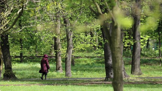 Synoptyk IMGW: majówka zapowiada się cieplej, ale bez wysokich temperatur