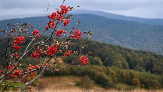 Synoptyk IMGW: niedziela ciepła, z większą ilością opadów