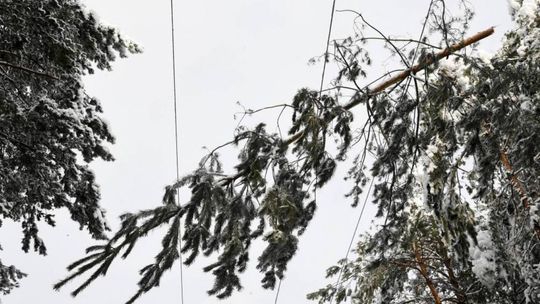 Synoptyk IMGW: w niedzielę silne wiatry nad całym krajem