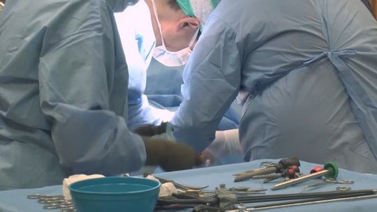 Szpital w Starachowicach tylko dla zakażonych