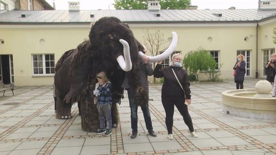 Teatr bawi, uczy i wzrusza. Można to zobaczyć na najnowszej wystawie w Muzeum Zabawek i Zabawy