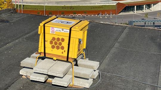 Teatr „Kubuś” zaprasza do udziału w Pochodzie Pszczelim