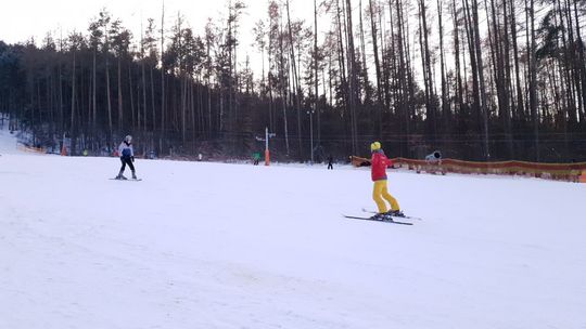 "Telegraf" wznawia działalność 