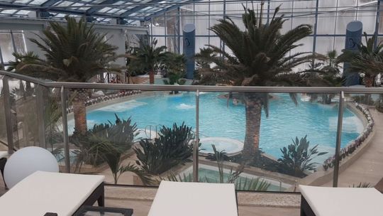 Tropikalny raj w sercu Gór Świętokrzyskich