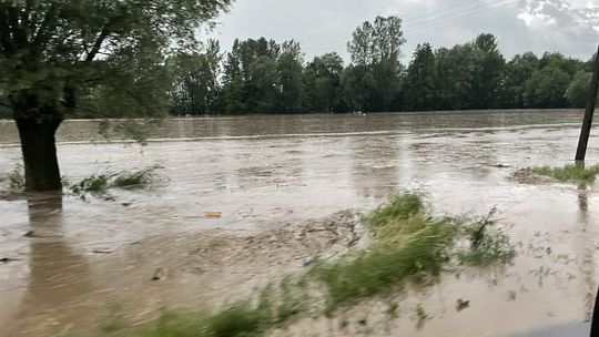 Trudna noc w Gminie Działoszyce - zalane są pola i drogi