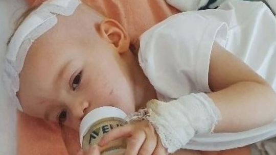 Trwa walka o życie Hani. Niezwykła mobilizacja mieszkańców Kielc