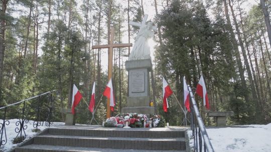 Uroczystości rocznicowe przy leśnej mogile na osiedlu Bór