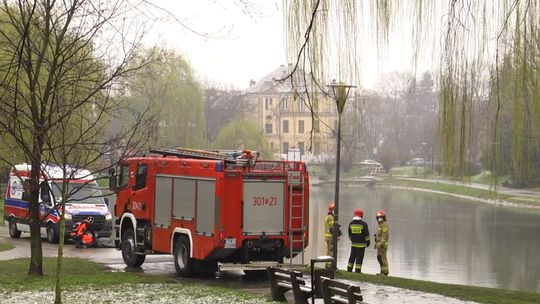 Utonięcie w stawie na terenie Parku Miejskiego. Policja poszukuje świadków zdarzenia