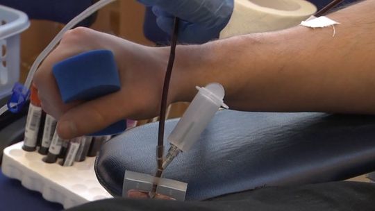 W regionie świętokrzyskim brakuje krwi! 