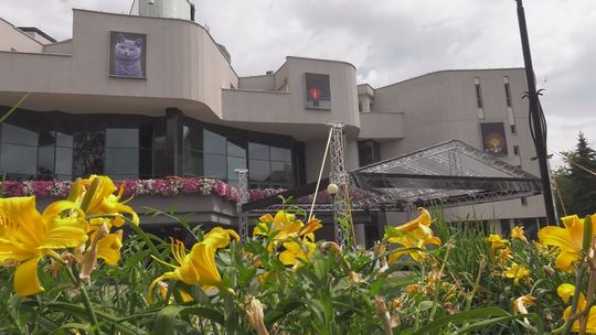 W sobotę "Rodzinny piKniCK na trawie"