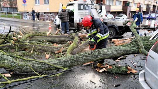 W sobotę w związku z silnym wiatrem strażacy otrzymali 3387 zgłoszeń