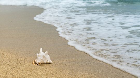 Wakacje w Europie: w Hiszpanii bez masek na plaży, do Grecji po zaszczepieniu lub z testem