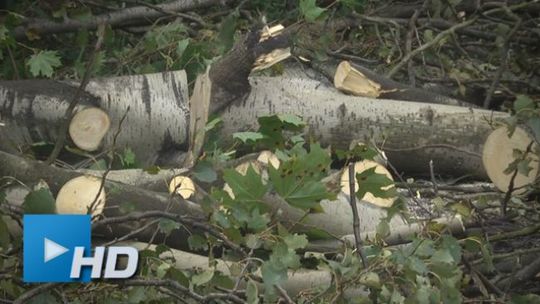 Wichura, pożar domu, samochodu i lasu. Było niebezpiecznie