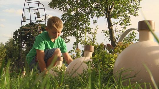 Wielkie marzenie małego chłopca - Marek chce stworzyć Wiejski Ogród Botaniczny