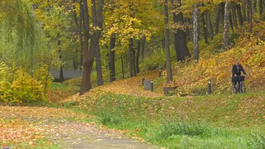 Witold Zapała patronem parku miejskiego?