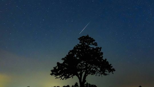 Wkrótce przesilenie letnie i początek astronomicznego lata