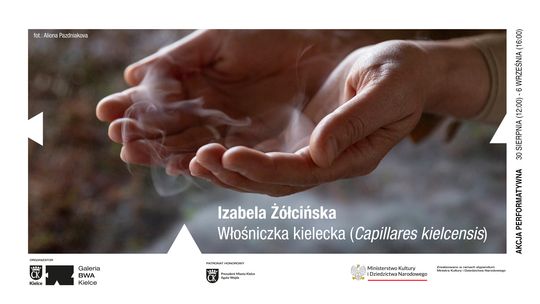 „Włośniczka kielecka” - akcja performatywna Izabeli Żółcińskiej