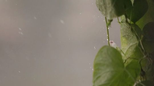 Wnioski o dotacje na zbiorniki małej retencji - zmiana terminu