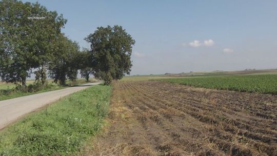 Wojewoda o zespole do spraw rozwoju wsi