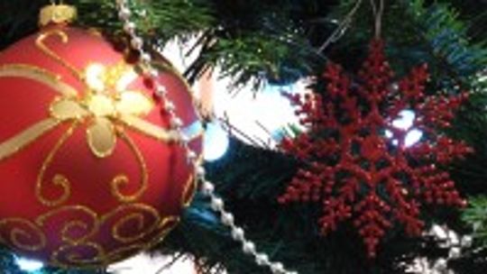 Wojewoda podsumowała 2017 rok