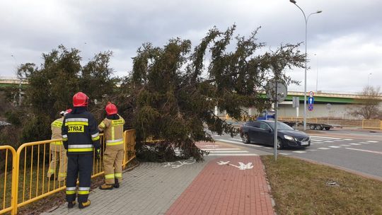 Wstrząsający raport po sobotnich wichurach w powiecie skarżyskim