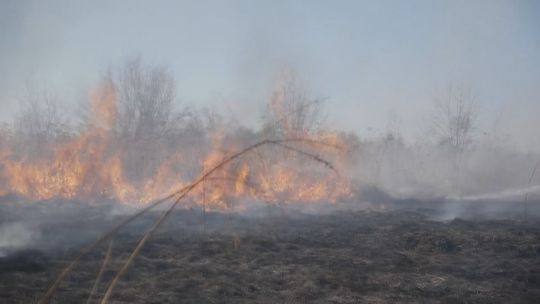 Wypalanie traw to głupota