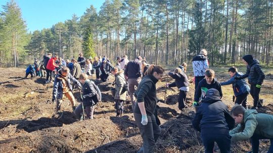 Wyrosną kolejne „Lasy Pełne Energii”