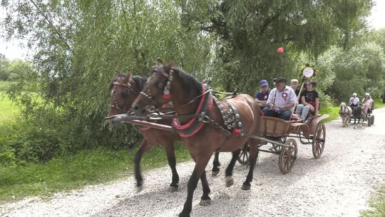 Za nami I Nadnidziańska Parada Karet i Zaprzęgów Konnych