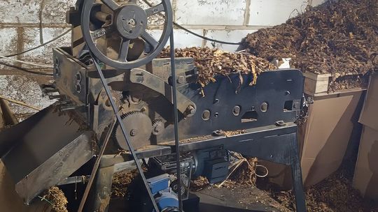 Zabezpieczono ponad 7 ton nielegalnego tytoniu
