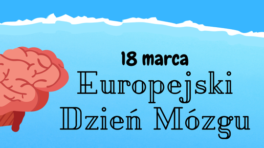 Zadbajmy o swój mózg