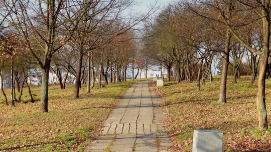 Zakaz przebywania w parkach i miejskich rezerwatach 