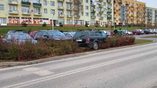 Zaparkowała w ozdobnych krzewach