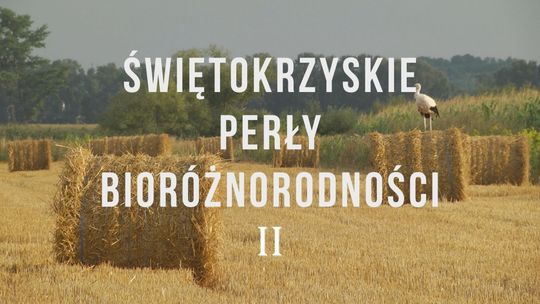 Zapowiedź drugiego odcinka "Świętokrzyskie Perły Bioróżnorodności II"